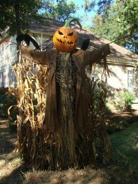 Scarecrows, a popular Halloween fixture, symbolize the ancient agricultural roots of the holiday.